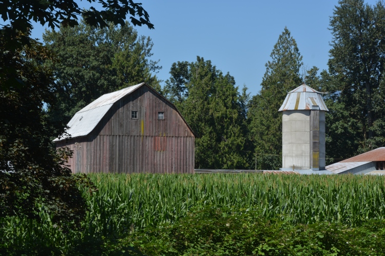 barn and silo